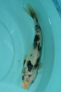 20111120 187-200.jpg